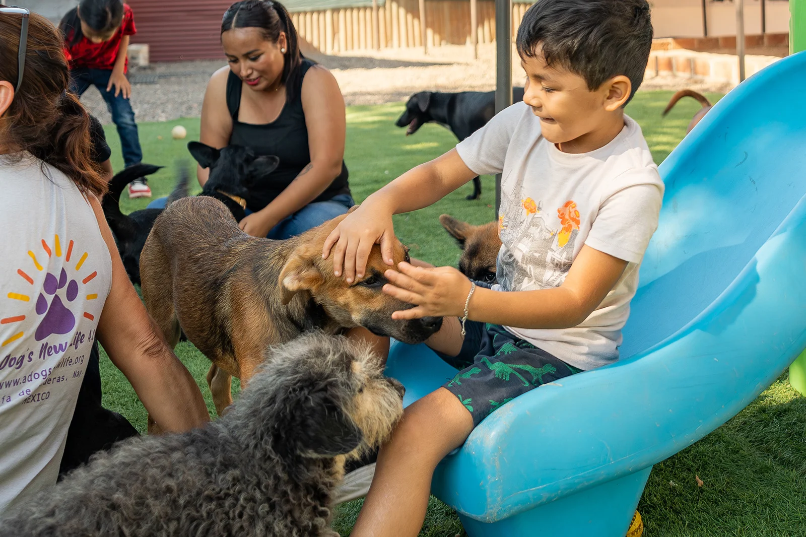 A Dog’s New Life Experience Emotions Resort & Suites