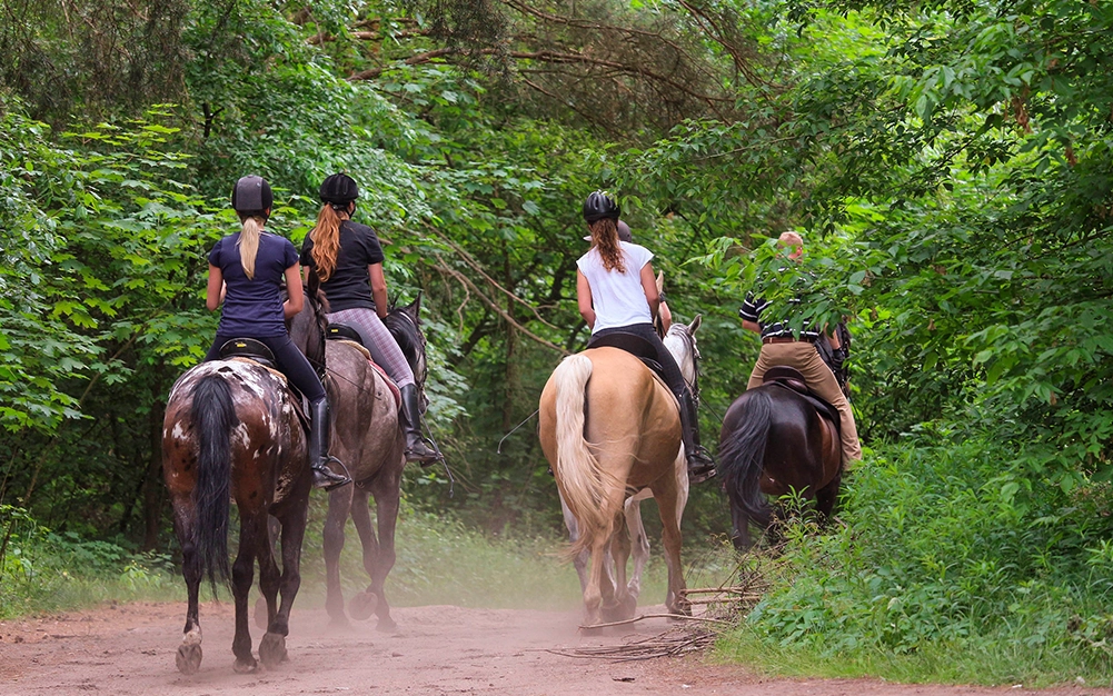 Tours and things to do in Nuevo Vallarta