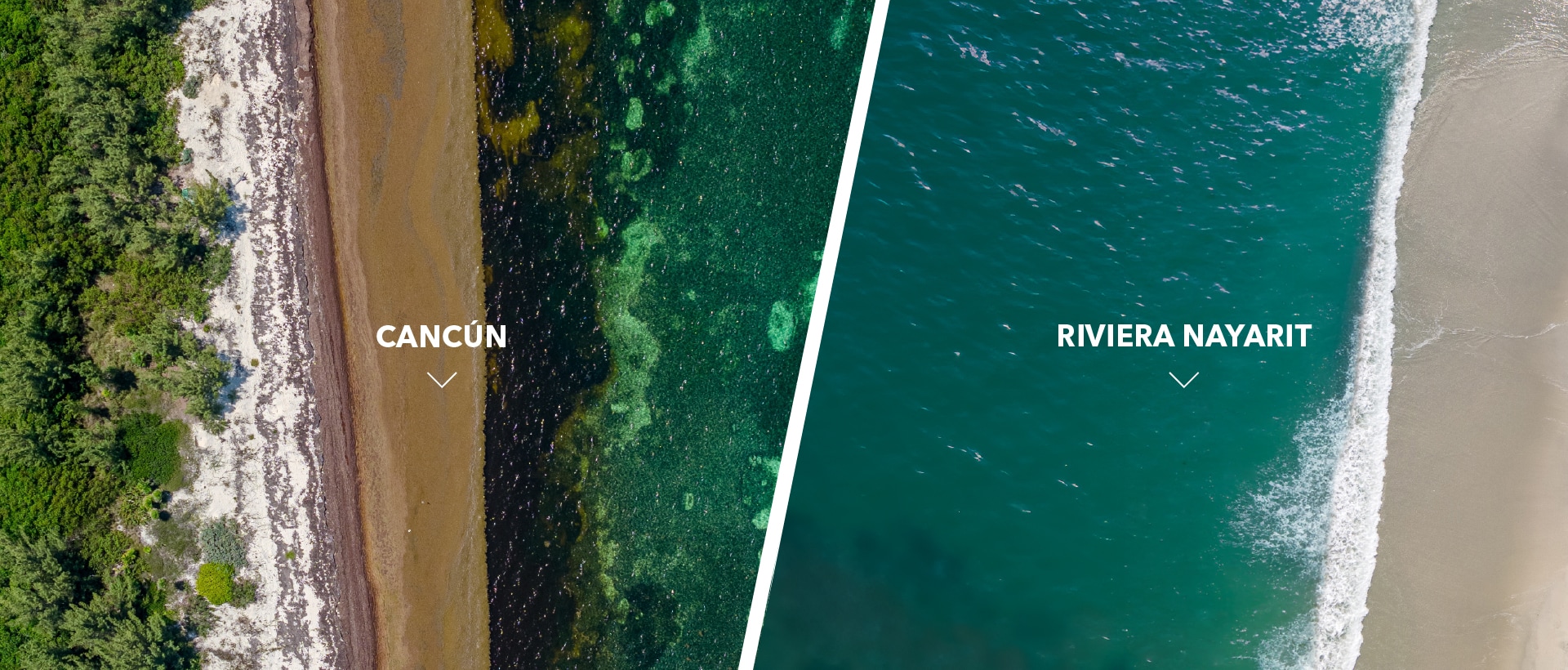 Riviera Nayarit vs Cancún: Which Is the Best Destination for Your Next Vacation?